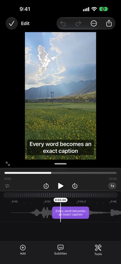 The subtitle editor