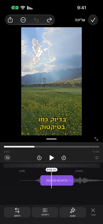 כתוביות מעוצבות על סרטון